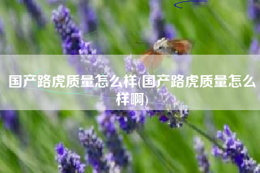 国产路虎质量怎么样(国产路虎质量怎么样啊) 国产路虎质量怎么样(国产路虎质量怎么样啊)