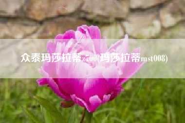 众泰玛莎拉蒂z700(玛莎拉蒂mst008)
