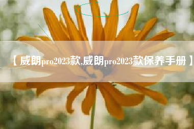 【威朗pro2023款,威朗pro2023款保养手册】