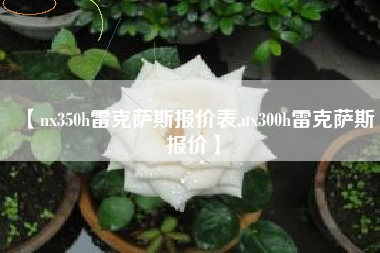 【nx350h雷克萨斯报价表,nx300h雷克萨斯报价】