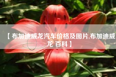 【布加迪威龙汽车价格及图片,布加迪威龙 百科】