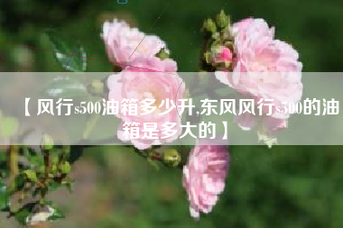 【风行s500油箱多少升,东风风行s500的油箱是多大的】