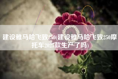 建设雅马哈飞致250(建设雅马哈飞致250摩托车2025款生产了吗) 建设雅马哈飞致250(建设雅马哈飞致250摩托车2025款生产了吗)