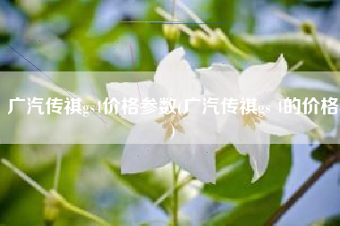 广汽传祺gs4价格参数(广汽传祺gs 4的价格)