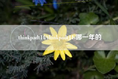 thinkpadt14/thinkpadt14s哪一年的