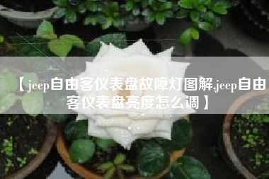 【jeep自由客仪表盘故障灯图解,jeep自由客仪表盘亮度怎么调】