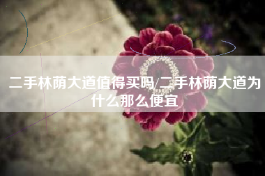 二手林荫大道值得买吗/二手林荫大道为什么那么便宜