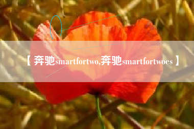 【奔驰smartfortwo,奔驰smartfortwoes】