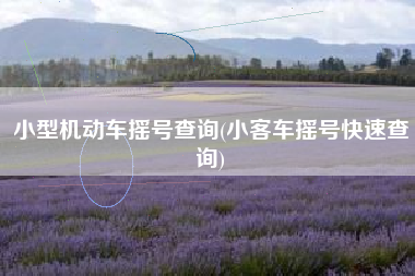 小型机动车摇号查询(小客车摇号快速查询) 小型机动车摇号查询(小客车摇号快速查询)
