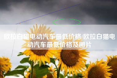 欧拉白猫电动汽车最低价格/欧拉白猫电动汽车最低价格及图片