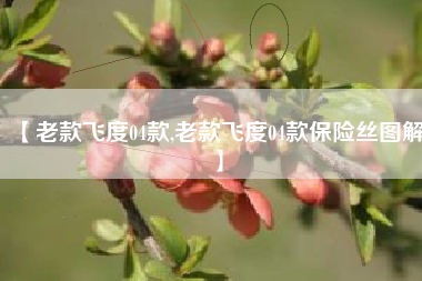 【老款飞度04款,老款飞度04款保险丝图解】