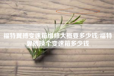 福特翼搏变速箱维修大概要多少钱/福特翼搏换个变速箱多少钱