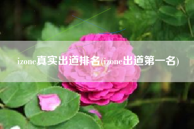 izone真实出道排名(izone出道第一名)