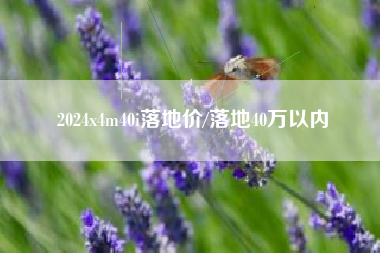 2024x4m40i落地价/落地40万以内