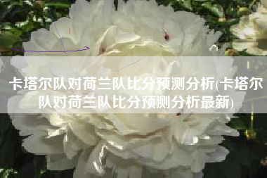 卡塔尔队对荷兰队比分预测分析(卡塔尔队对荷兰队比分预测分析最新)