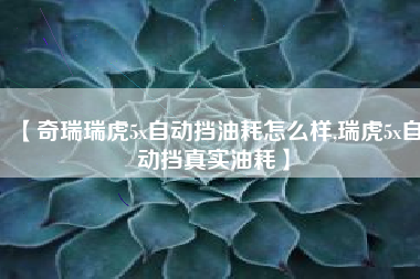 【奇瑞瑞虎5x自动挡油耗怎么样,瑞虎5x自动挡真实油耗】