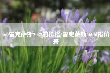 460雷克萨斯2022的价格/雷克萨斯460hl报价表 460雷克萨斯2022的价格/雷克萨斯460hl报价表