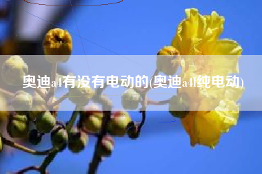 奥迪a4有没有电动的(奥迪a4l纯电动) 奥迪a4有没有电动的(奥迪a4l纯电动)
