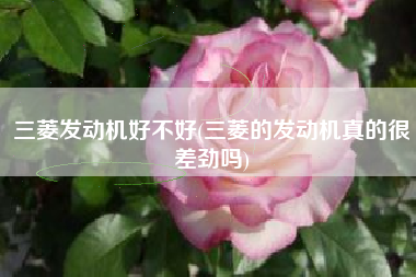 三菱发动机好不好(三菱的发动机真的很差劲吗) 三菱发动机好不好(三菱的发动机真的很差劲吗)