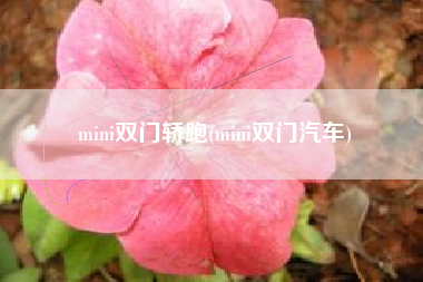 mini双门轿跑(mini双门汽车) mini双门轿跑(mini双门汽车)