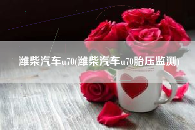 潍柴汽车u70(潍柴汽车u70胎压监测) 潍柴汽车u70(潍柴汽车u70胎压监测)