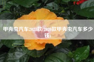 甲壳虫汽车2023款(2020款甲壳虫汽车多少钱)