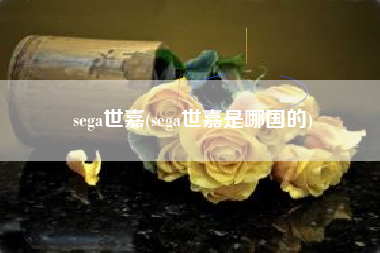 sega世嘉(sega世嘉是哪国的)
