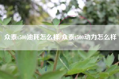 众泰t500油耗怎么样/众泰t500动力怎么样 众泰t500油耗怎么样/众泰t500动力怎么样