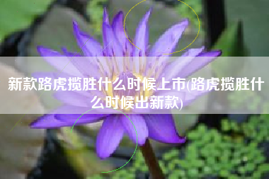 新款路虎揽胜什么时候上市(路虎揽胜什么时候出新款)