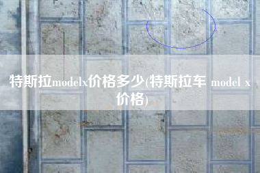 特斯拉modelx价格多少(特斯拉车 model x 价格)
