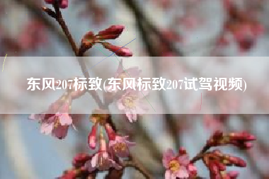 东风207标致(东风标致207试驾视频) 东风207标致(东风标致207试驾视频)