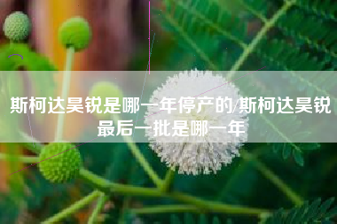 斯柯达昊锐是哪一年停产的/斯柯达昊锐最后一批是哪一年 斯柯达昊锐是哪一年停产的/斯柯达昊锐最后一批是哪一年