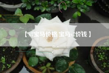 【x7宝马价格,宝马x7价钱】