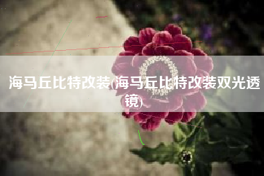 海马丘比特改装(海马丘比特改装双光透镜) 海马丘比特改装(海马丘比特改装双光透镜)