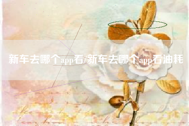 新车去哪个app看/新车去哪个app看油耗 新车去哪个app看/新车去哪个app看油耗