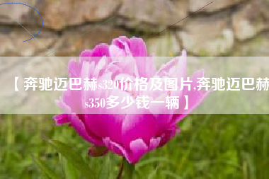 【奔驰迈巴赫s320价格及图片,奔驰迈巴赫s350多少钱一辆】