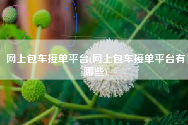 网上包车接单平台(网上包车接单平台有哪些)