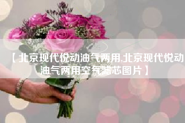 【北京现代悦动油气两用,北京现代悦动油气两用空气滤芯图片】