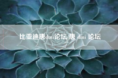 比亚迪唐dmi论坛/唐 dmi 论坛