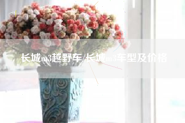 长城m3越野车/长城m3车型及价格