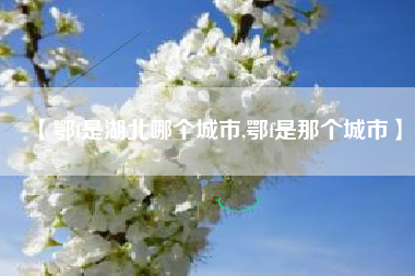 【鄂f是湖北哪个城市,鄂f是那个城市】 【鄂f是湖北哪个城市,鄂f是那个城市】