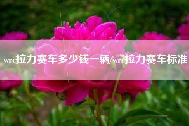 wrc拉力赛车多少钱一辆/wrc拉力赛车标准