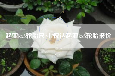 起亚kx5轮胎尺寸/悦达起亚kx5轮胎报价