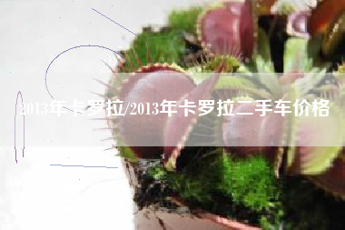 2013年卡罗拉/2013年卡罗拉二手车价格