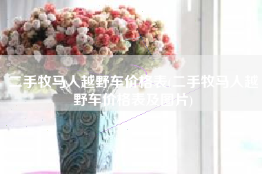 二手牧马人越野车价格表(二手牧马人越野车价格表及图片)