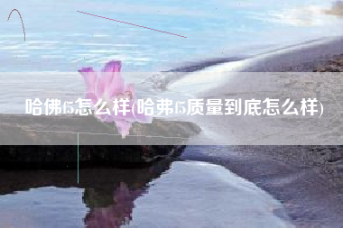 哈佛f5怎么样(哈弗f5质量到底怎么样)