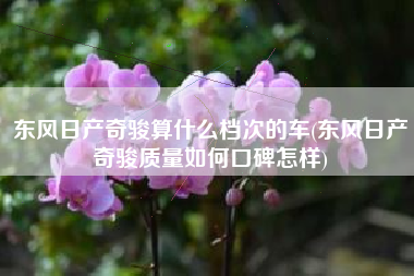 东风日产奇骏算什么档次的车(东风日产奇骏质量如何口碑怎样)