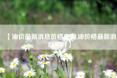 【油价最新消息价格查询,油价格最新消息实时】