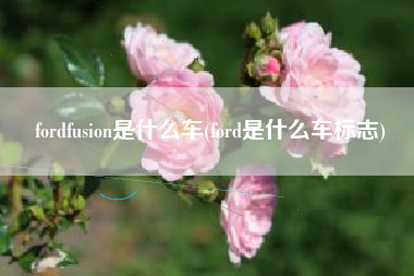 fordfusion是什么车(ford是什么车标志)