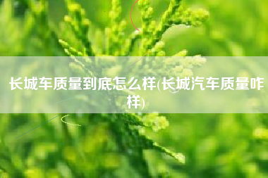 长城车质量到底怎么样(长城汽车质量咋样) 长城车质量到底怎么样(长城汽车质量咋样)